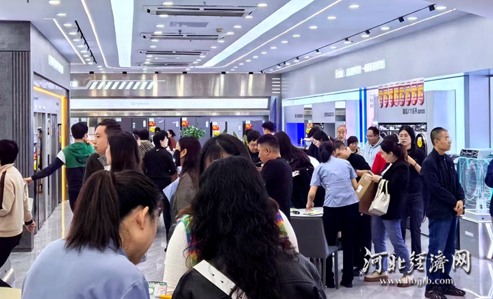 ”叠加“双11” 河北家电以旧换新累计销售额突破100亿龙8国际唯一网站深化“两新”工作 促进投资消费｜“国补(图2)