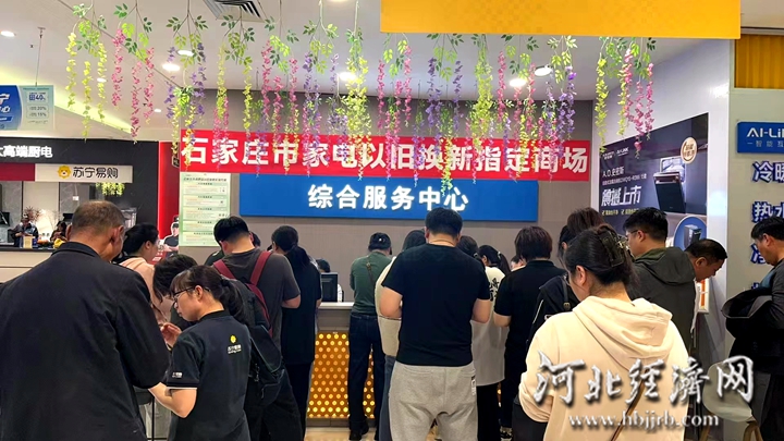 ”叠加“双11” 河北家电以旧换新累计销售额突破100亿龙8国际唯一网站深化“两新”工作 促进投资消费｜“国补(图5)