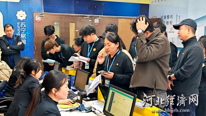 ”叠加“双11” 河北家电以旧换新累计销售额突破100亿龙8国际唯一网站深化“两新”工作 促进投资消费｜“国补(图6)